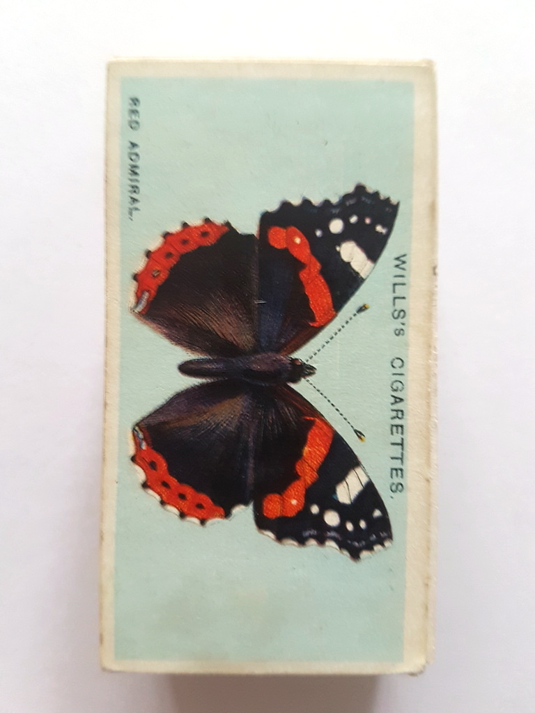 Photo of the front of these British Butterflies cigarette cards