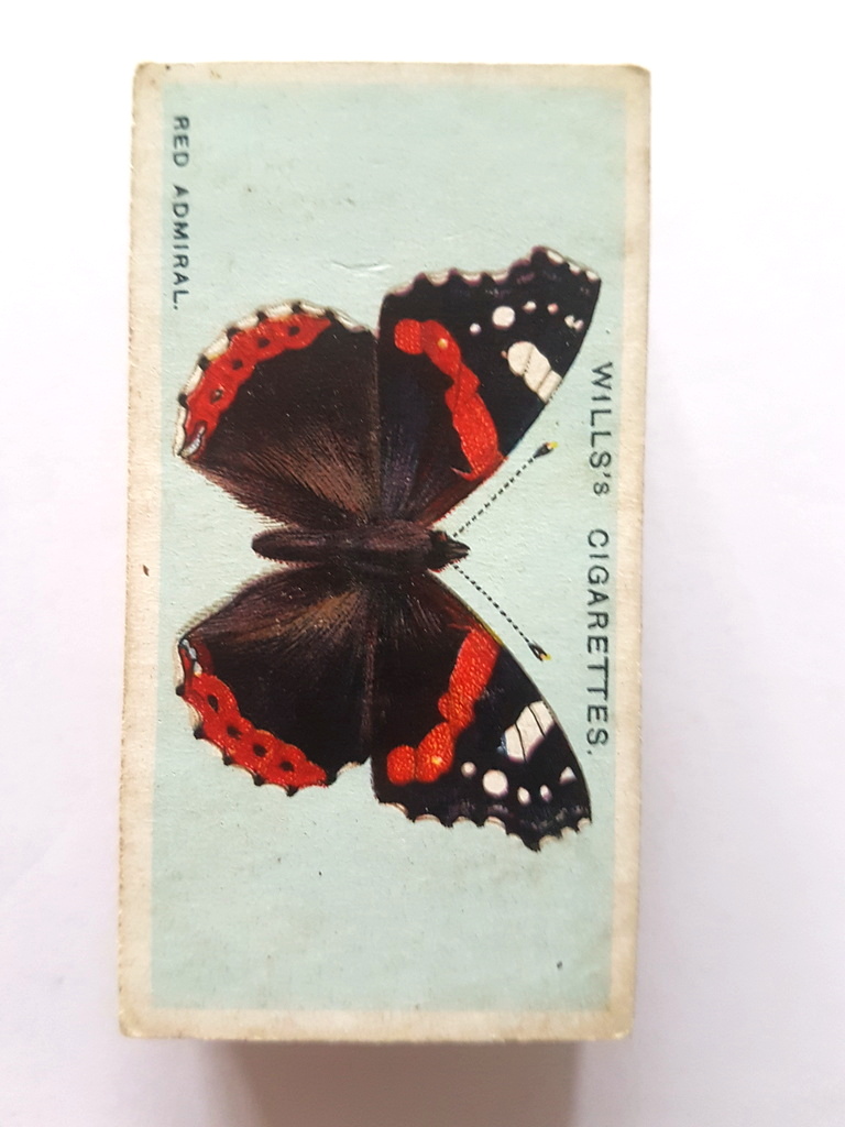 Photo of the front of these British Butterflies cigarette cards