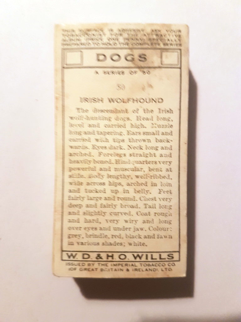 Photo of the back of these Dogs (light backgrounds) cigarette cards