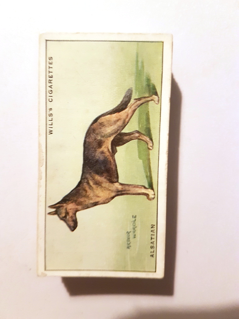 Photo of the front of these Dogs (light backgrounds) cigarette cards