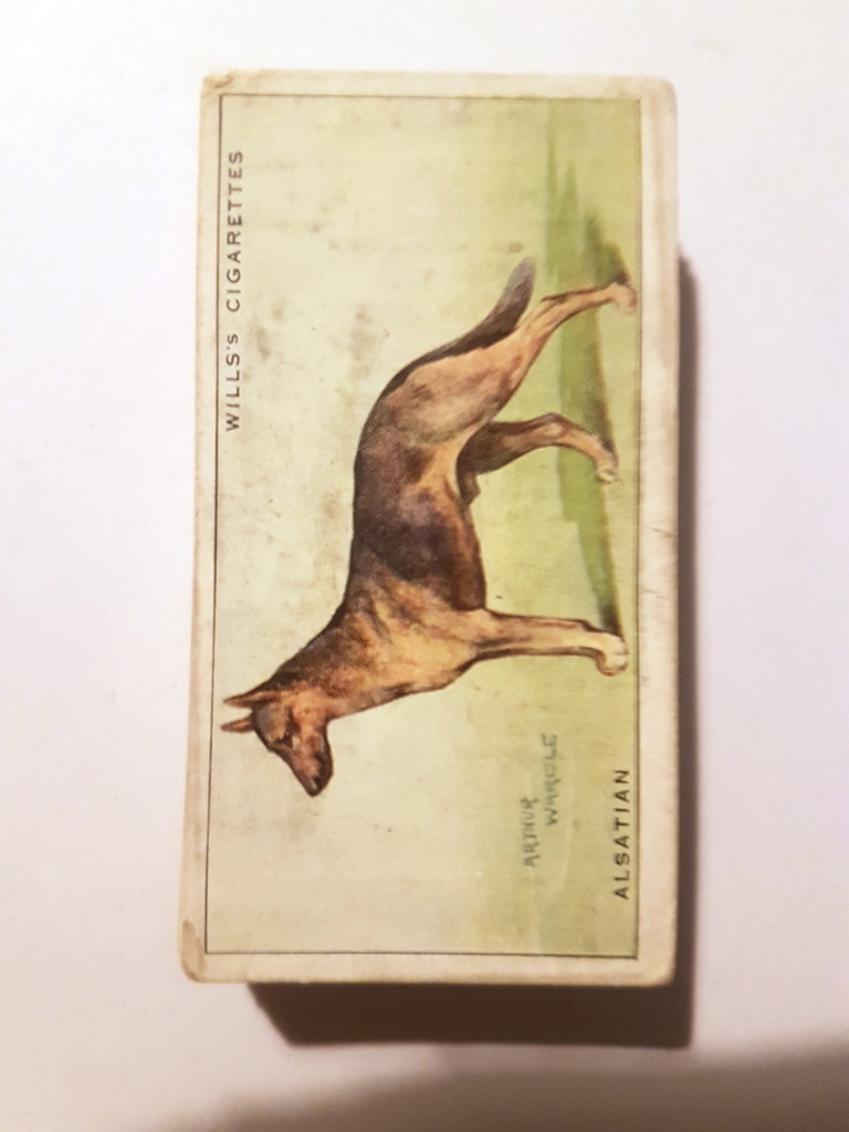 Photo of the front of these Dogs (light backgrounds) cigarette cards