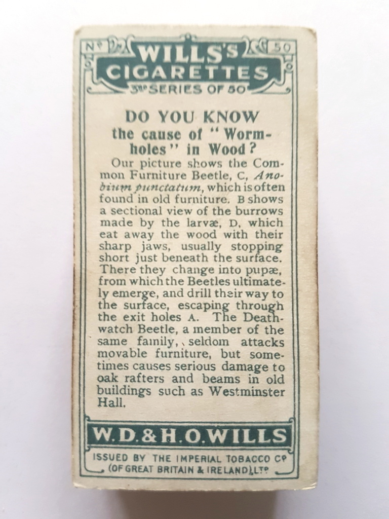 Photo of the back of these Do You Know (3rd) cigarette cards