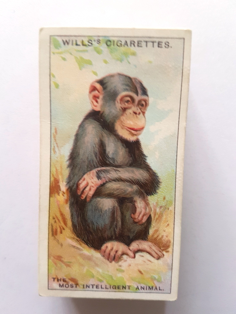 Photo of the front of these Do You Know (4th) cigarette cards