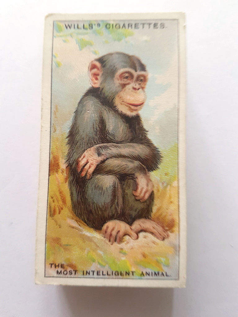 Photo of the front of these Do You Know (4th) cigarette cards