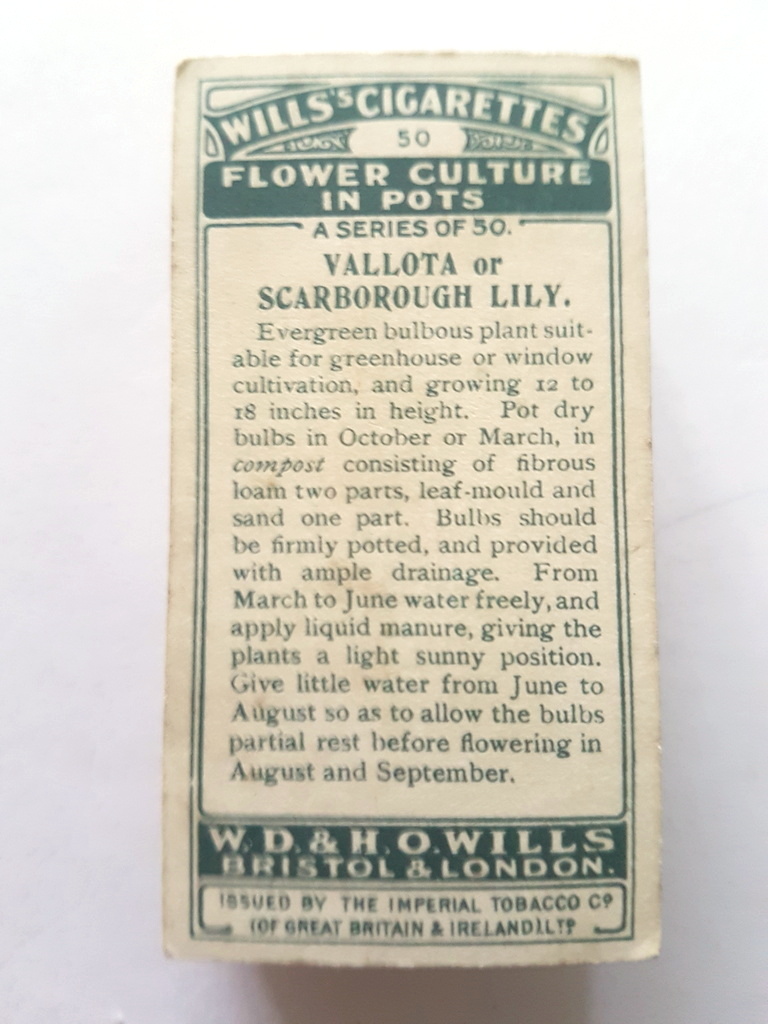 Photo of the back of these Flower Culture in Pots cigarette cards