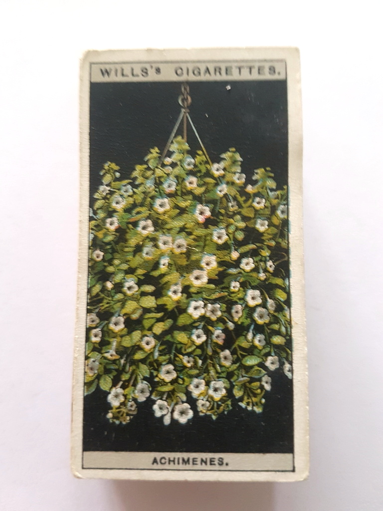 Photo of the front of these Flower Culture in Pots cigarette cards