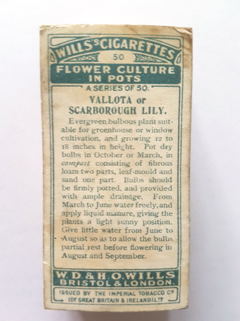 Photo of the back of these Flower Culture in Pots cigarette cards