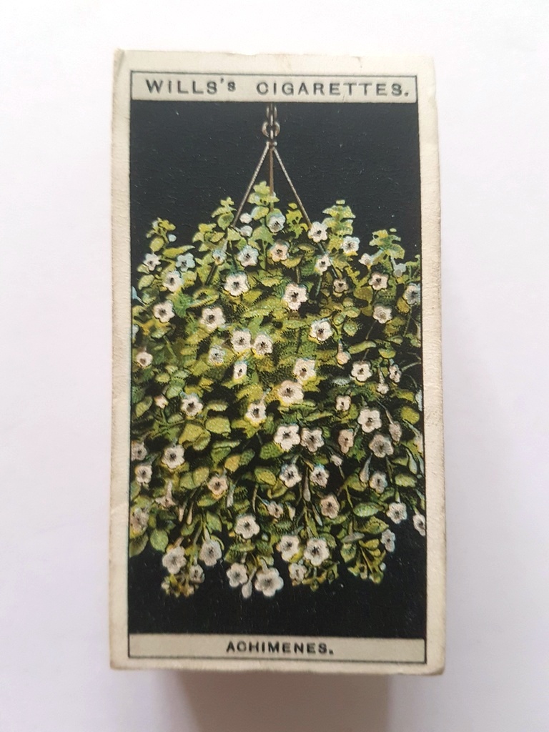 Photo of the front of these Flower Culture in Pots cigarette cards