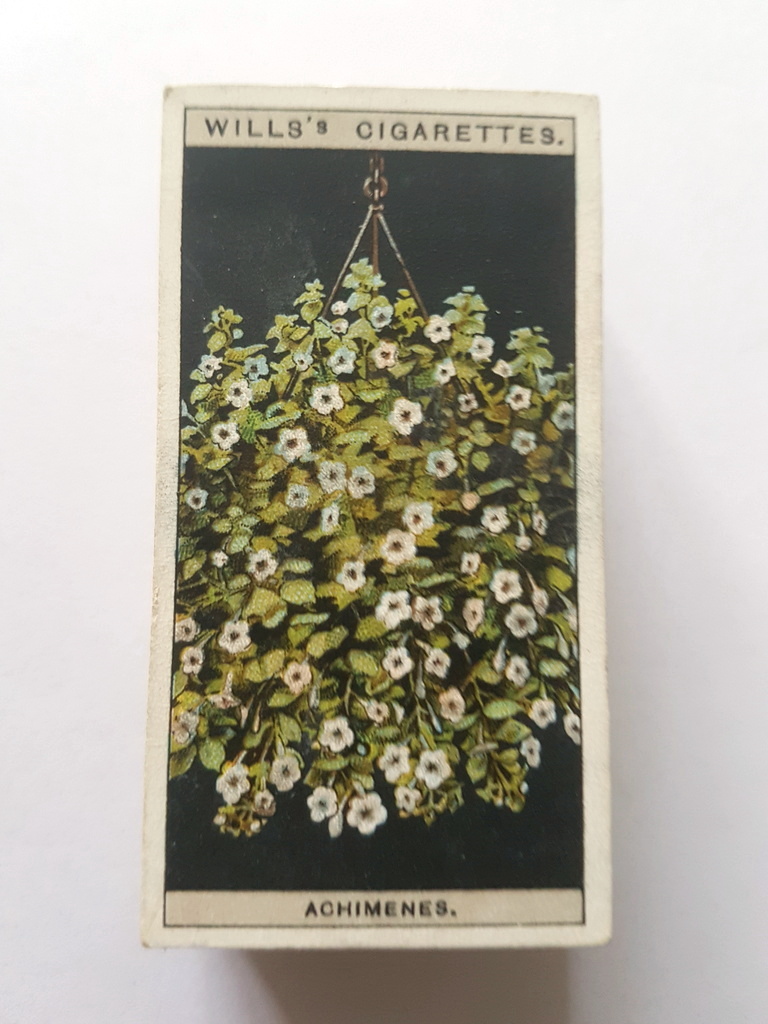 Photo of the front of these Flower Culture in Pots cigarette cards