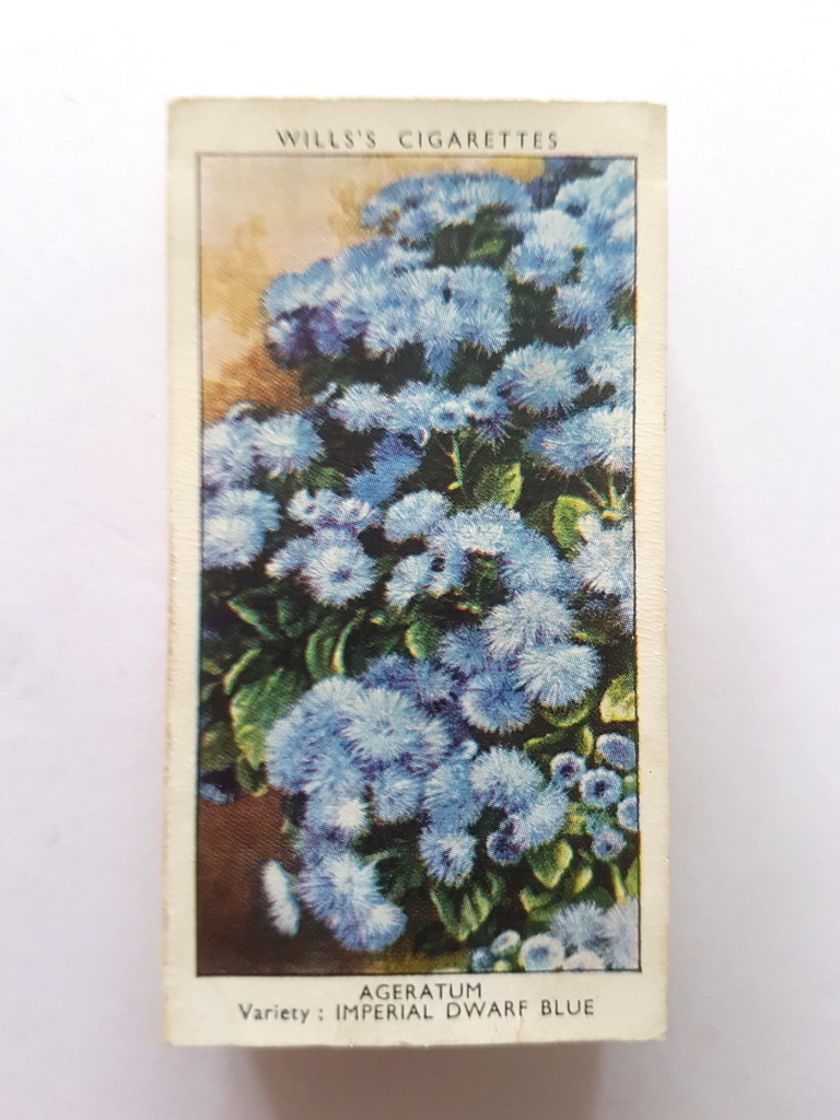 Photo of the front of these Garden Flowers by Richard Sudell cigarette cards