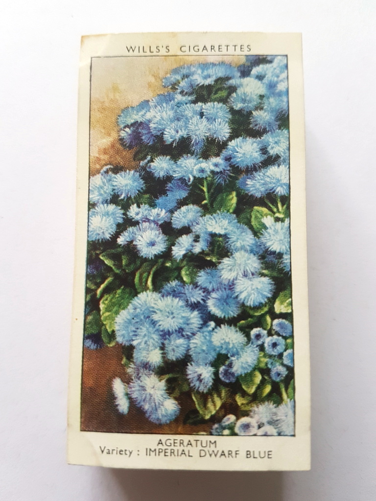 Photo of the front of these Garden Flowers by Richard Sudell cigarette cards