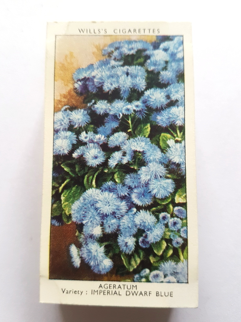 Photo of the front of these Garden Flowers by Richard Sudell cigarette cards