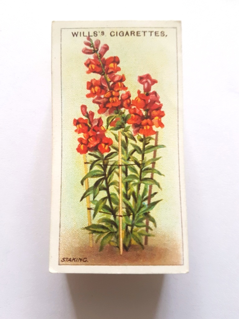 Photo of the front of these Gardening Hints cigarette cards