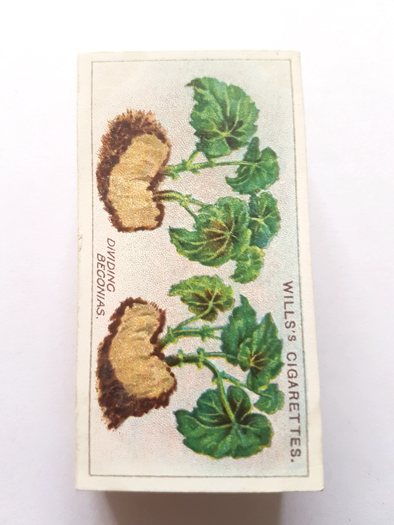 Photo of the front of these Gardening Hints cigarette cards