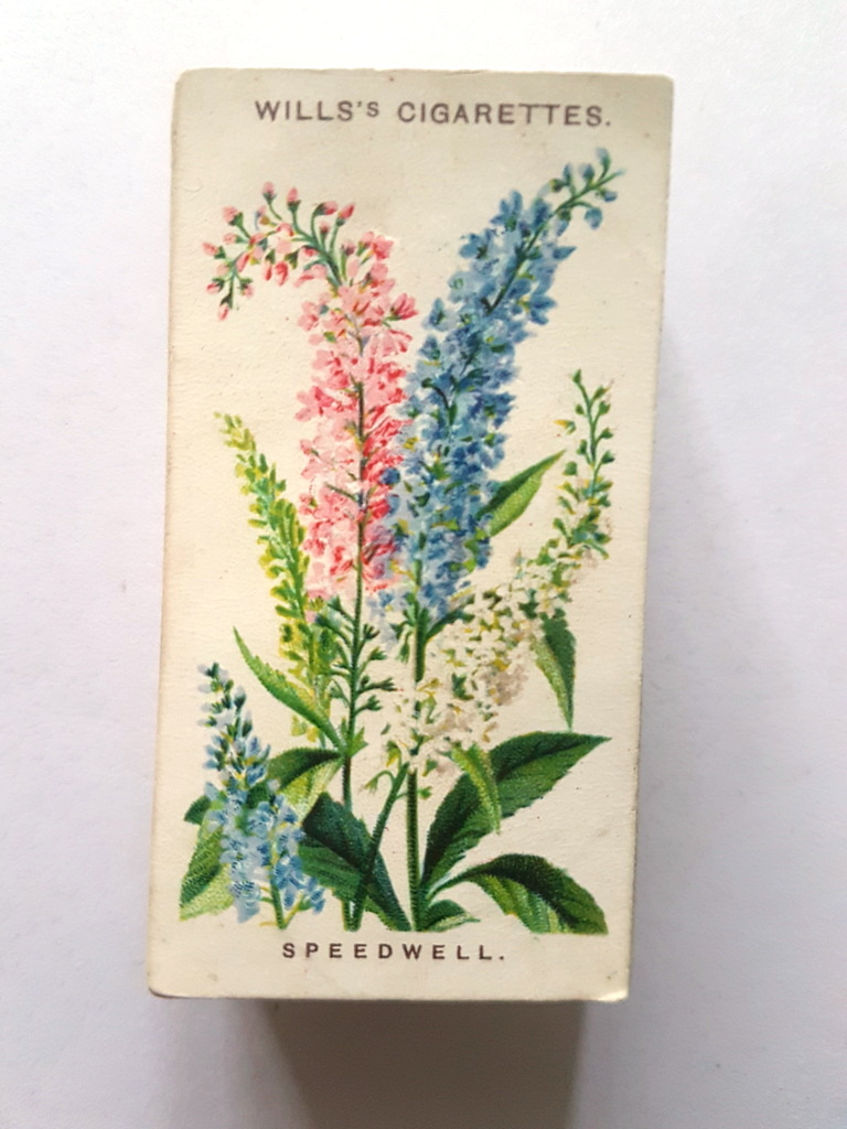 Photo of the front of these Old English Garden Flowers cigarette cards