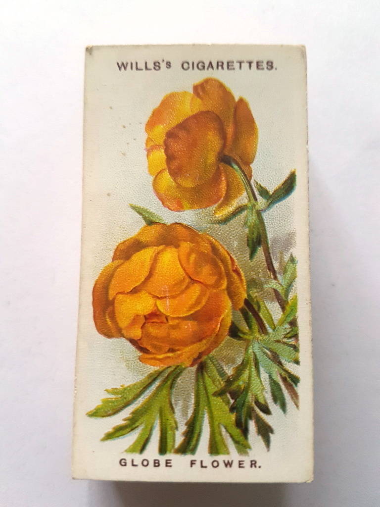 Photo of the front of these Old English Garden Flowers (2nd) cigarette cards