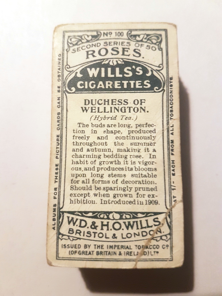 Photo of the back of these Roses (2nd) cigarette cards