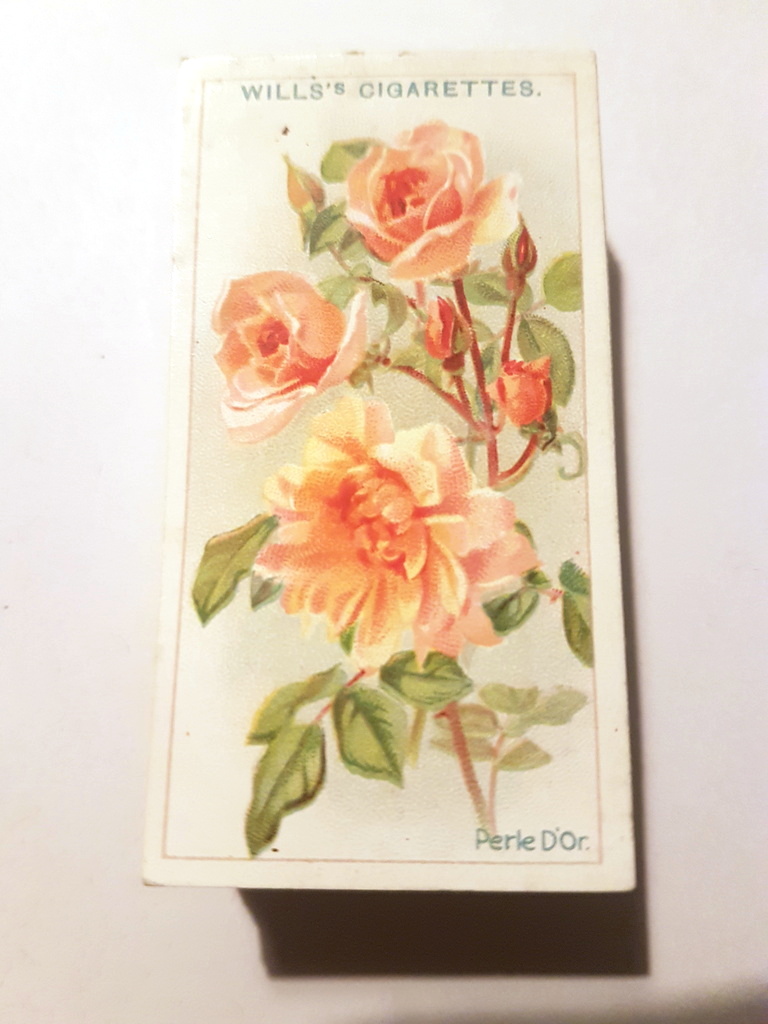 Photo of the front of these Roses (1912) cigarette cards