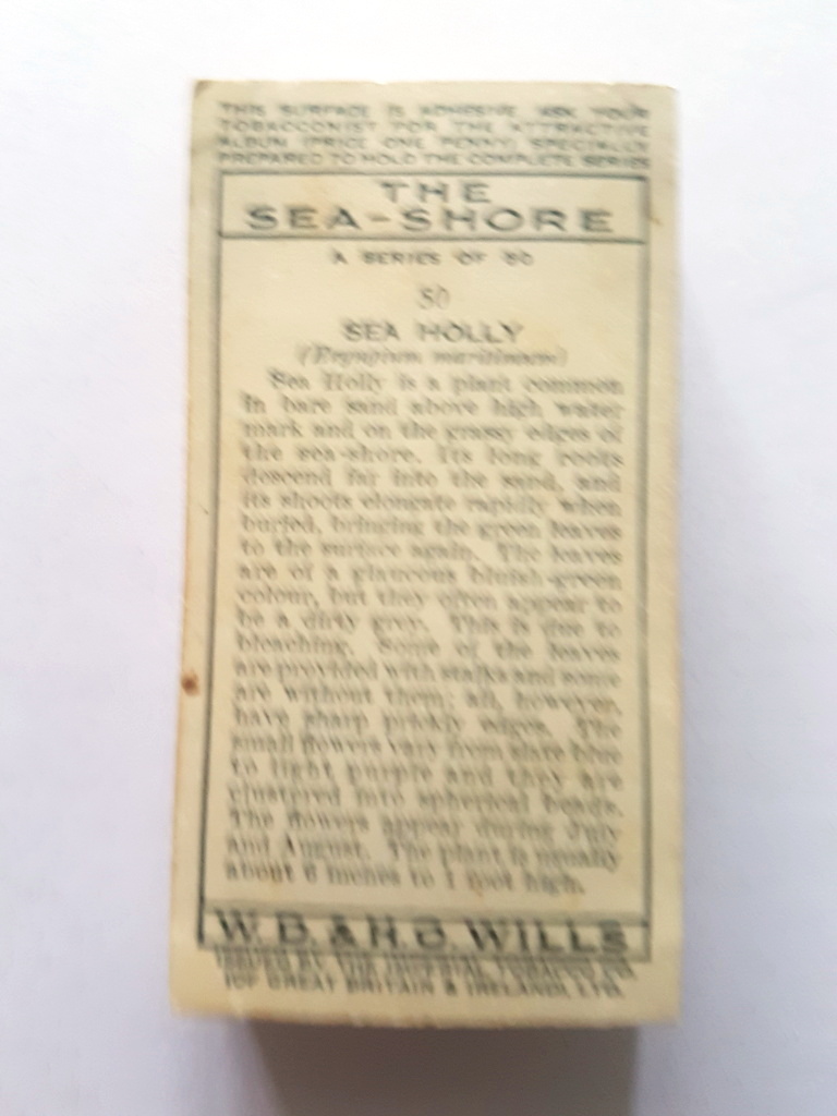 Photo of the back of these The Sea Shore cigarette cards