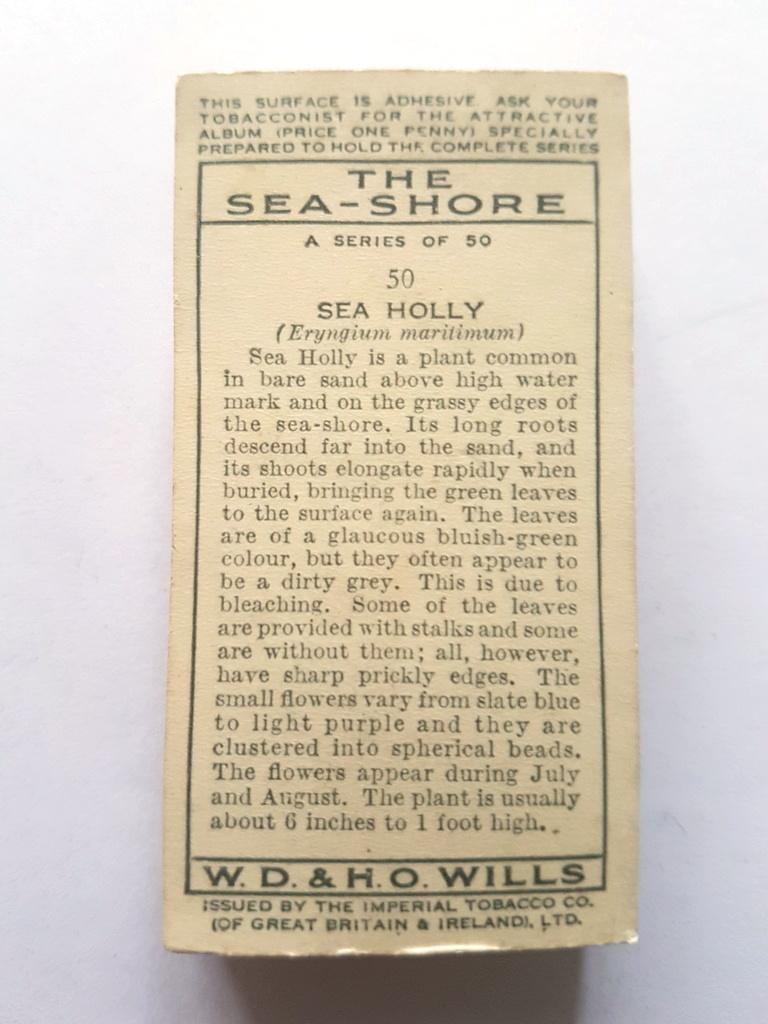 Photo of the back of these The Sea Shore cigarette cards