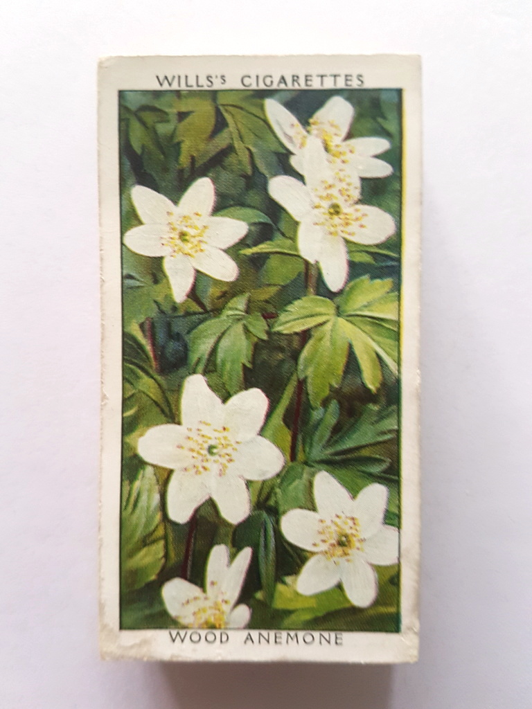 Photo of the front of these Wild Flowers (2nd) cigarette cards