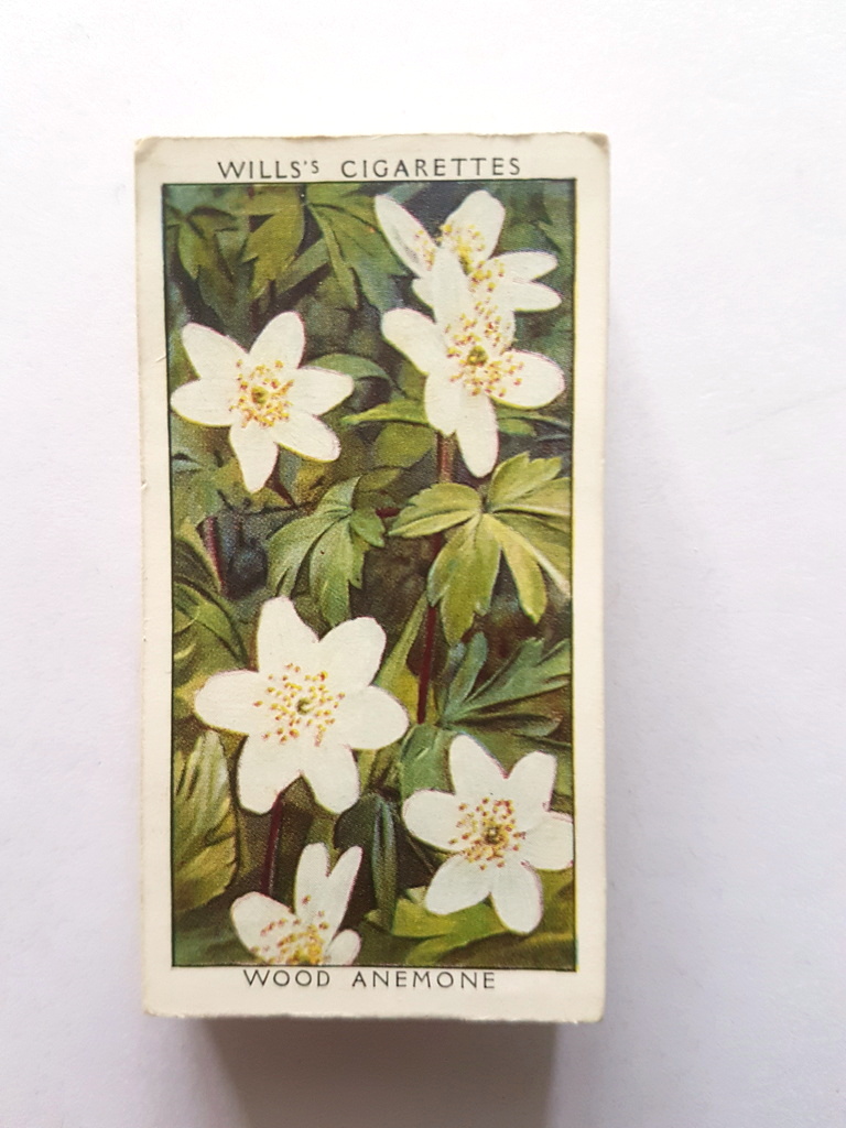 Photo of the front of these Wild Flowers (2nd) cigarette cards