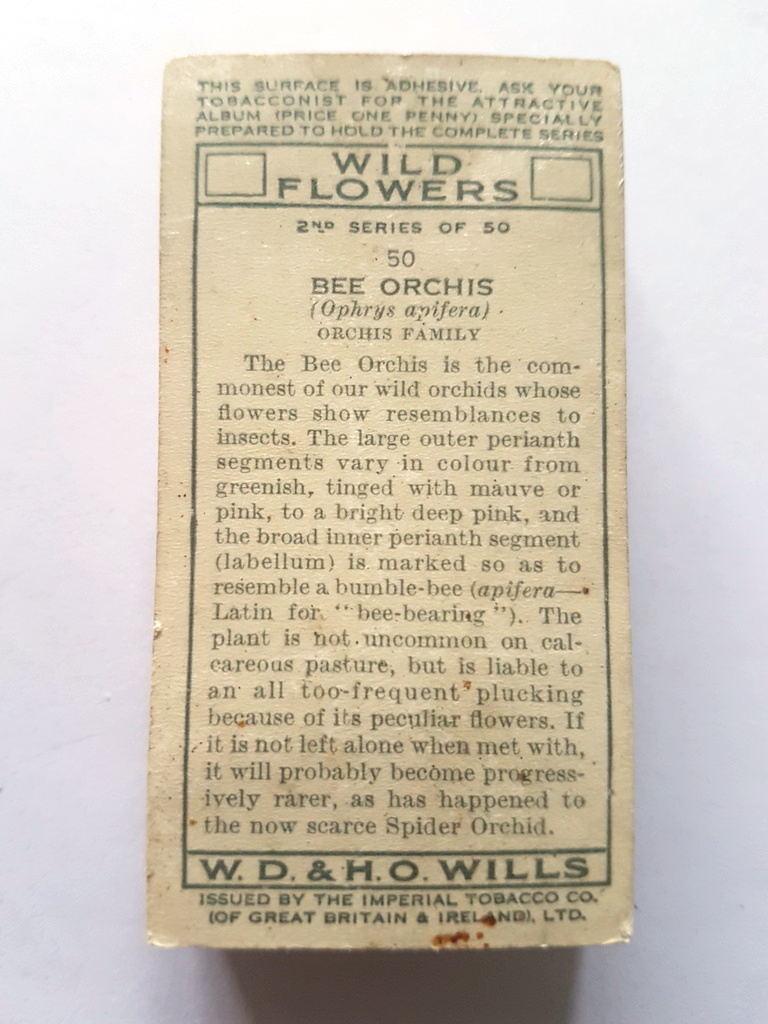 Photo of the back of these Wild Flowers (2nd) cigarette cards