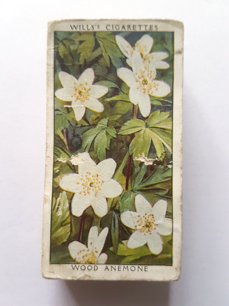 Photo of the front of these Wild Flowers (2nd) cigarette cards