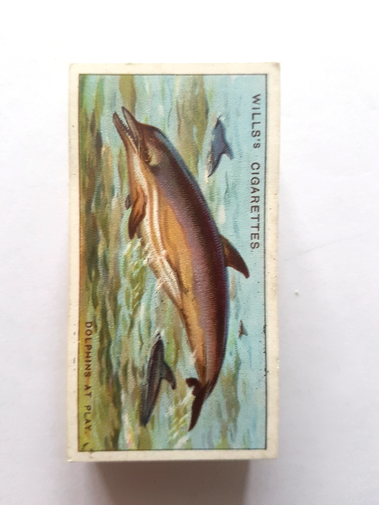 Photo of the front of these Wonders of the Sea cigarette cards