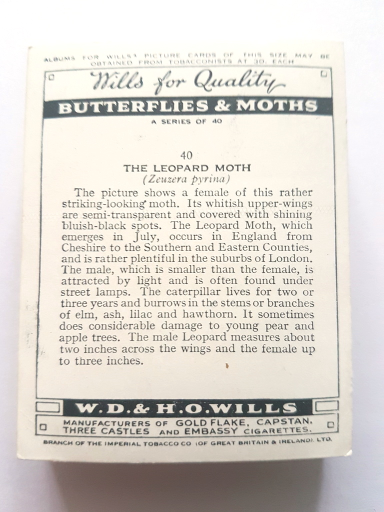 Photo of the back of these Butterflies & Moths cigarette cards