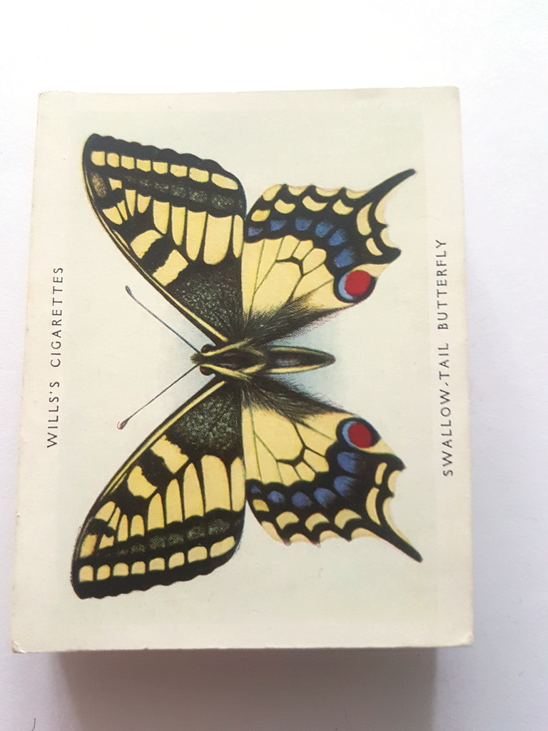 Photo of the front of these Butterflies & Moths cigarette cards