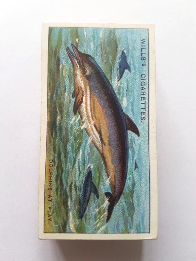 Photo of the front of these Wonders of the Sea cigarette cards