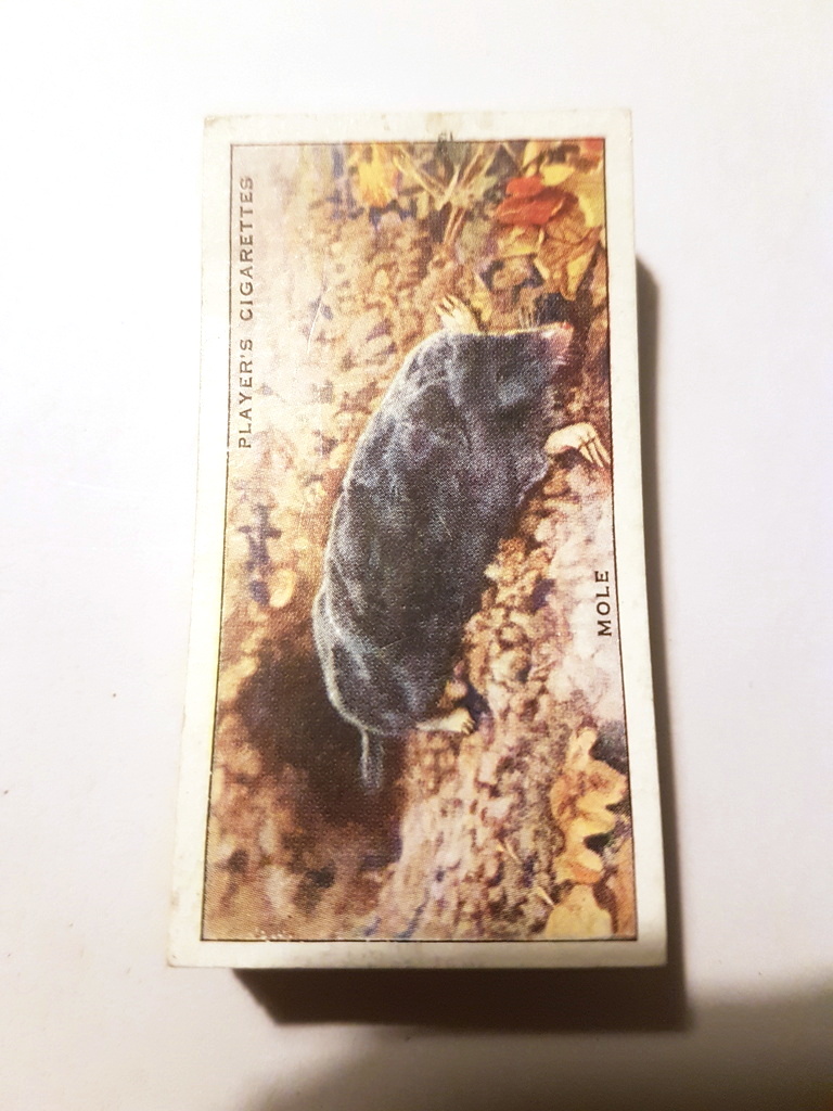 Photo of the front of these Animals of the Countryside cigarette cards