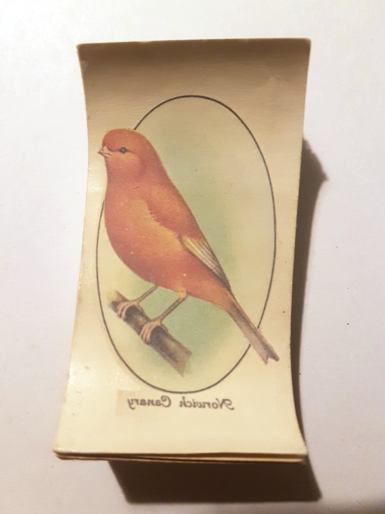 Photo of the front of these Aviary and Cage Birds (transfers) cigarette cards