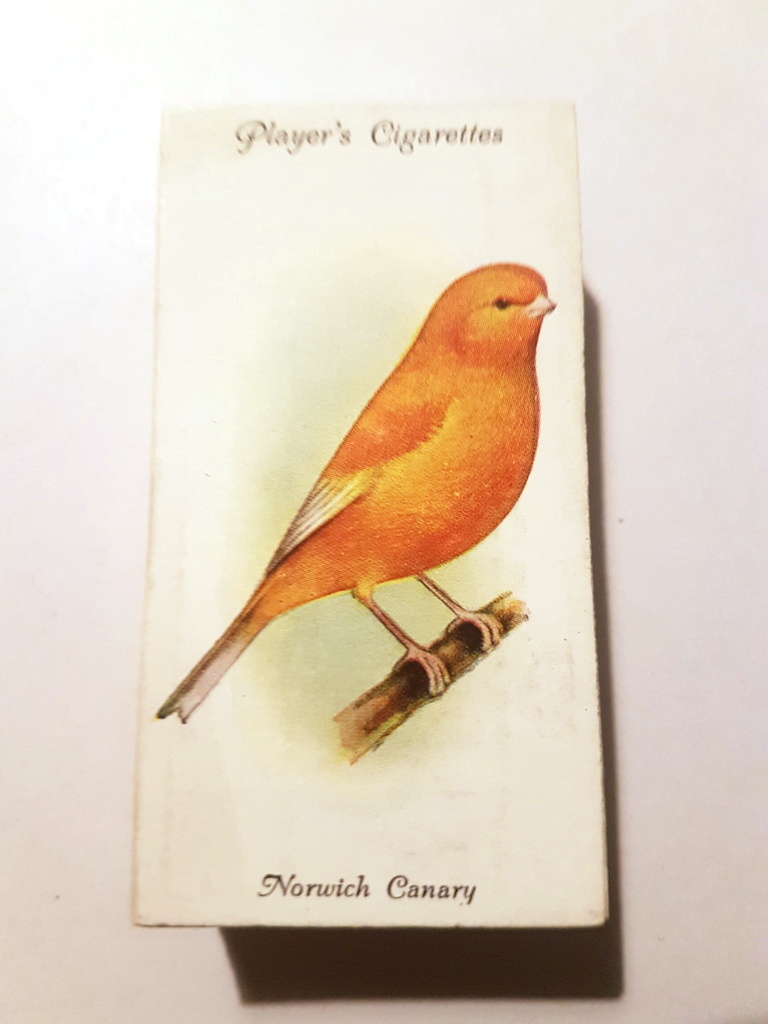 Photo of the front of these Aviary and Cage Birds cigarette cards