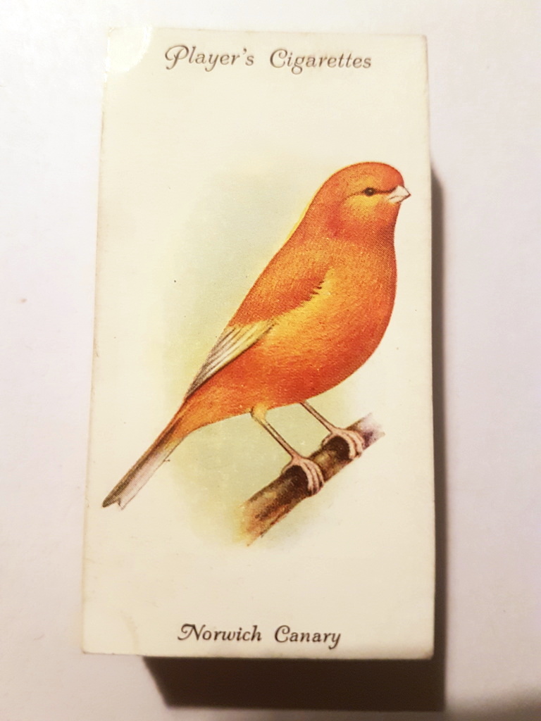 Photo of the front of these Aviary and Cage Birds cigarette cards