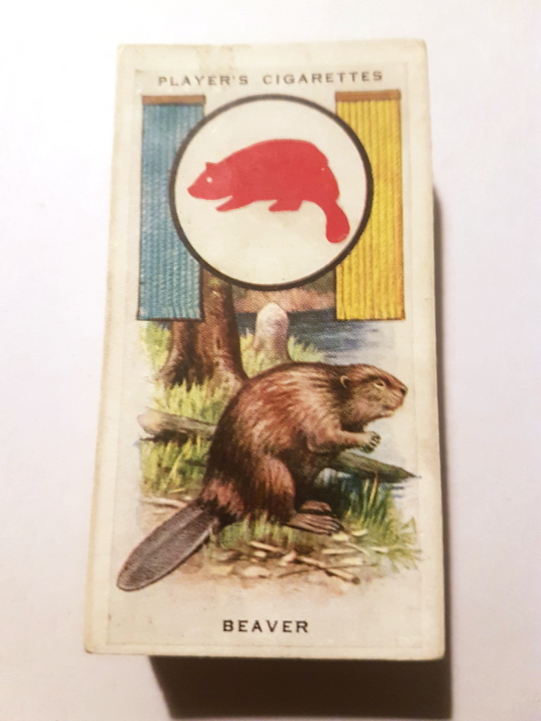 Photo of the front of these Boy Scout & Girl Guide Patrol Signs & Emblems cigarette cards