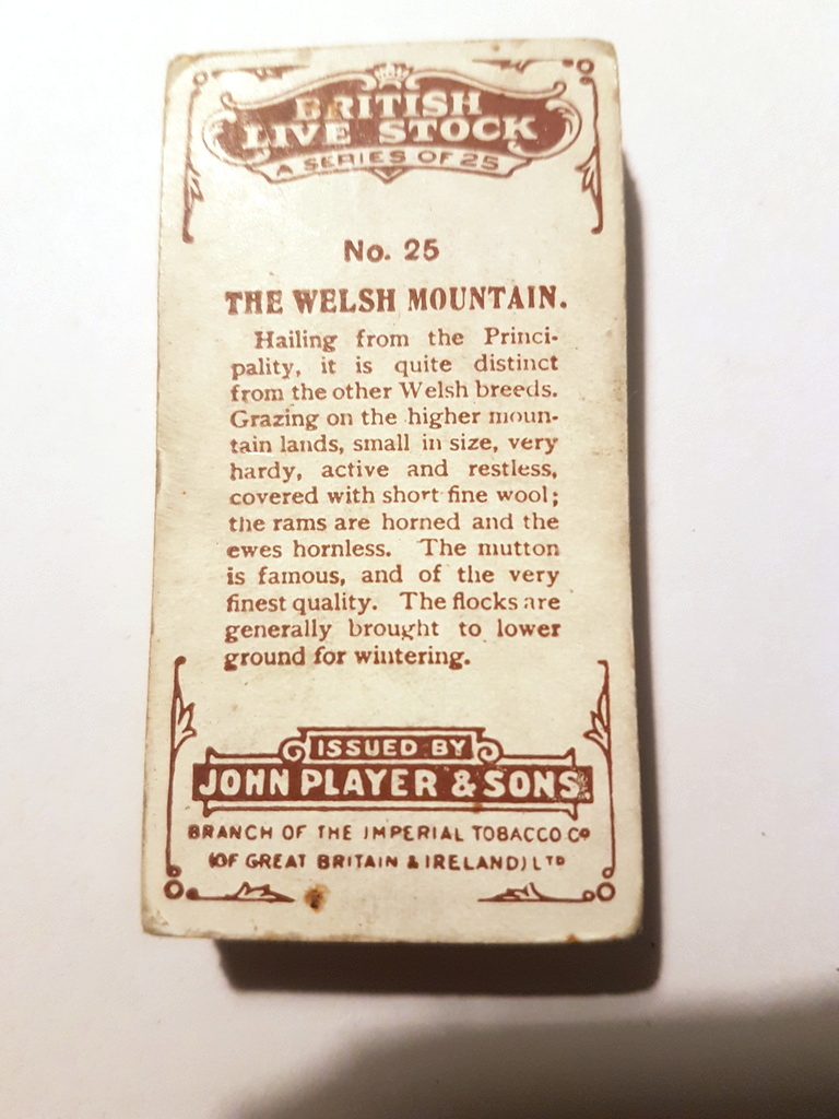 Photo of the back of these British Livestock cigarette cards