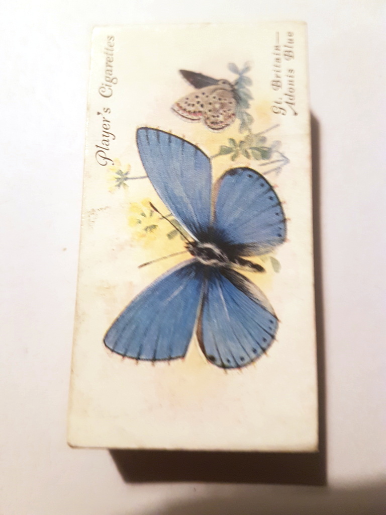 Photo of the front of these Butterflies cigarette cards