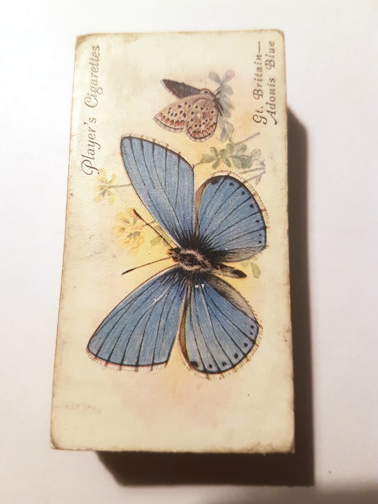 Photo of the front of these Butterflies cigarette cards