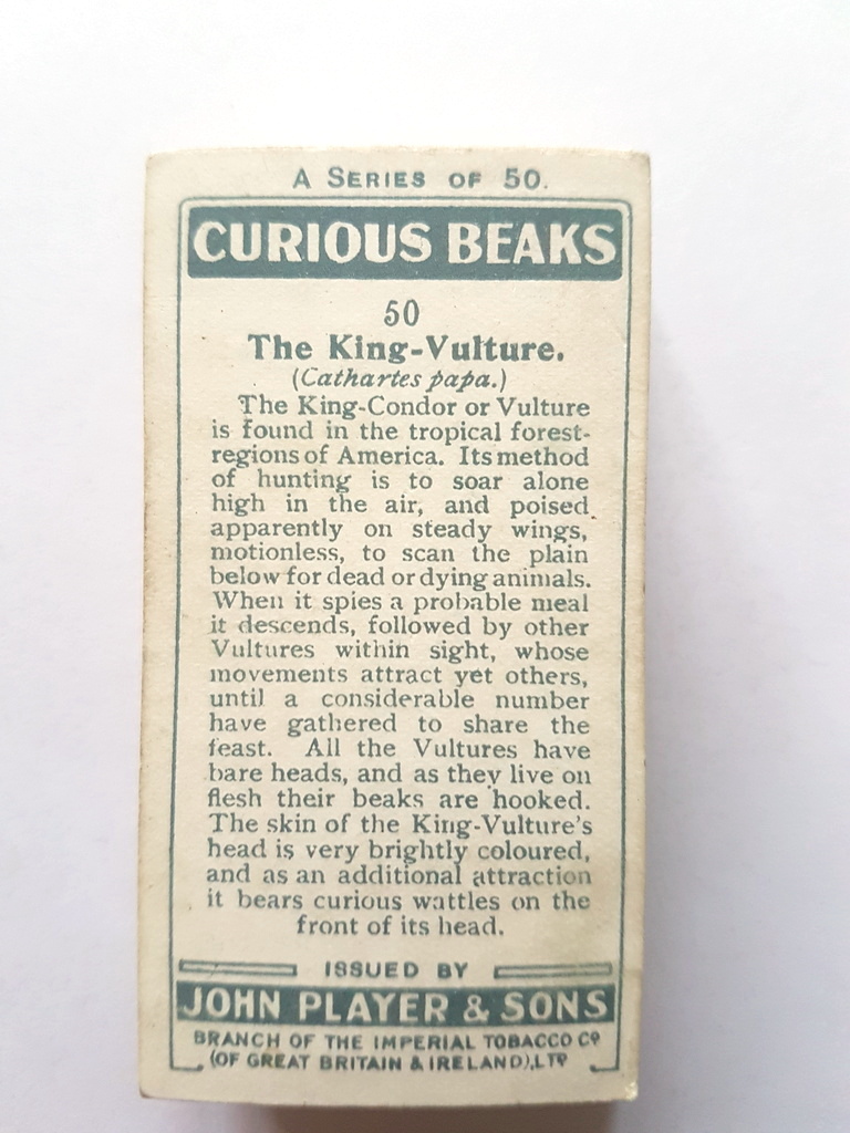 Photo of the back of these Curious Beaks cigarette cards