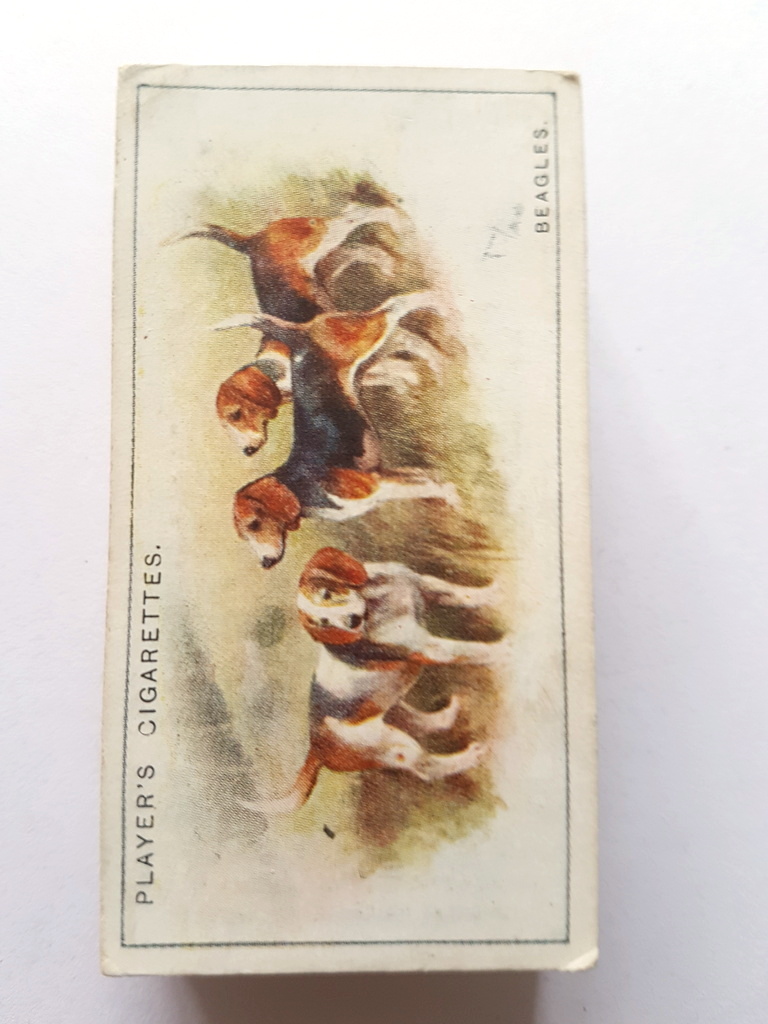 Photo of the front of these Dogs (scenic backgrounds) cigarette cards