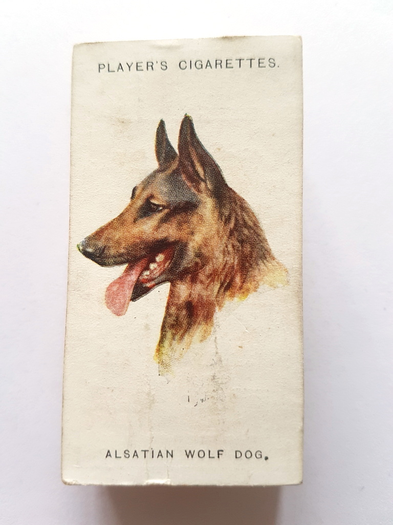 Photo of the front of these Dogs (heads, by Wardle) cigarette cards