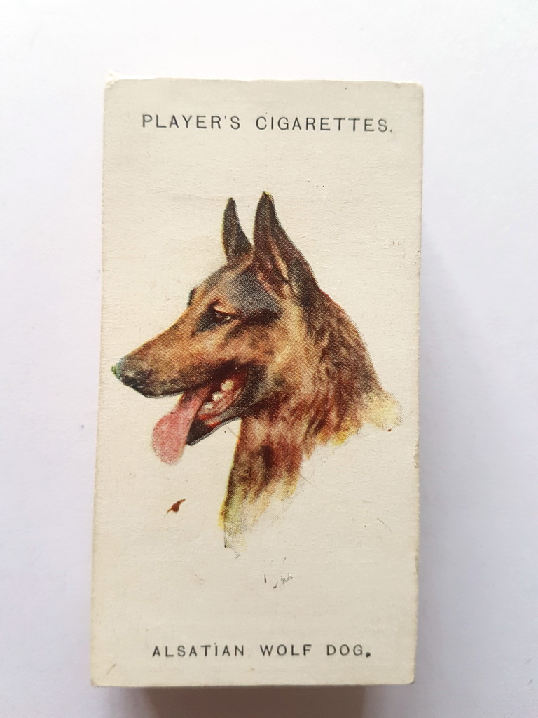 Photo of the front of these Dogs (heads, by Wardle) cigarette cards