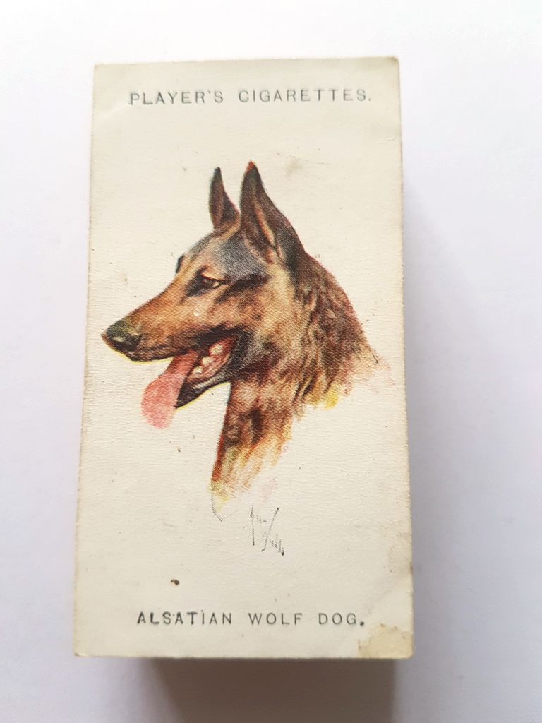 Photo of the front of these Dogs (heads, by Wardle) cigarette cards