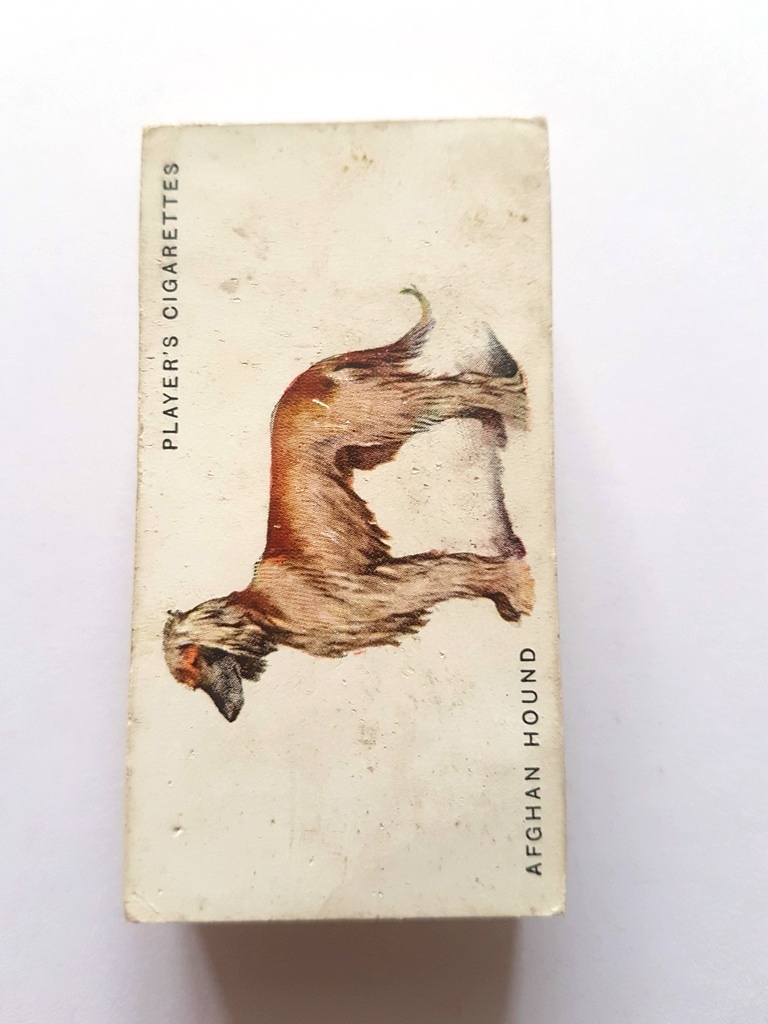 Photo of the front of these Dogs (full length, by Wardle) cigarette cards