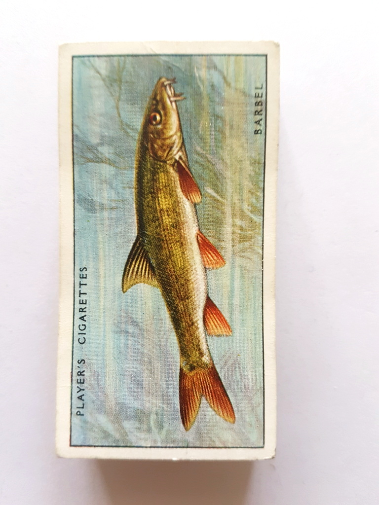 Photo of the front of these Fresh-Water Fishes (pink card) cigarette cards