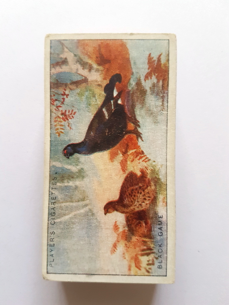 Photo of the front of these Game Birds and Wild Fowl cigarette cards