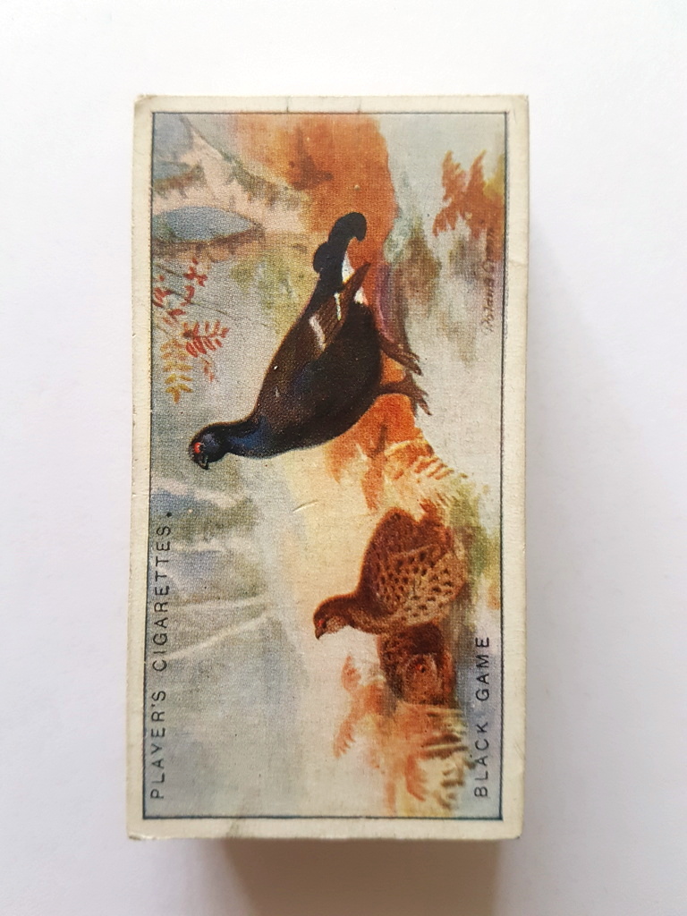 Photo of the front of these Game Birds and Wild Fowl cigarette cards