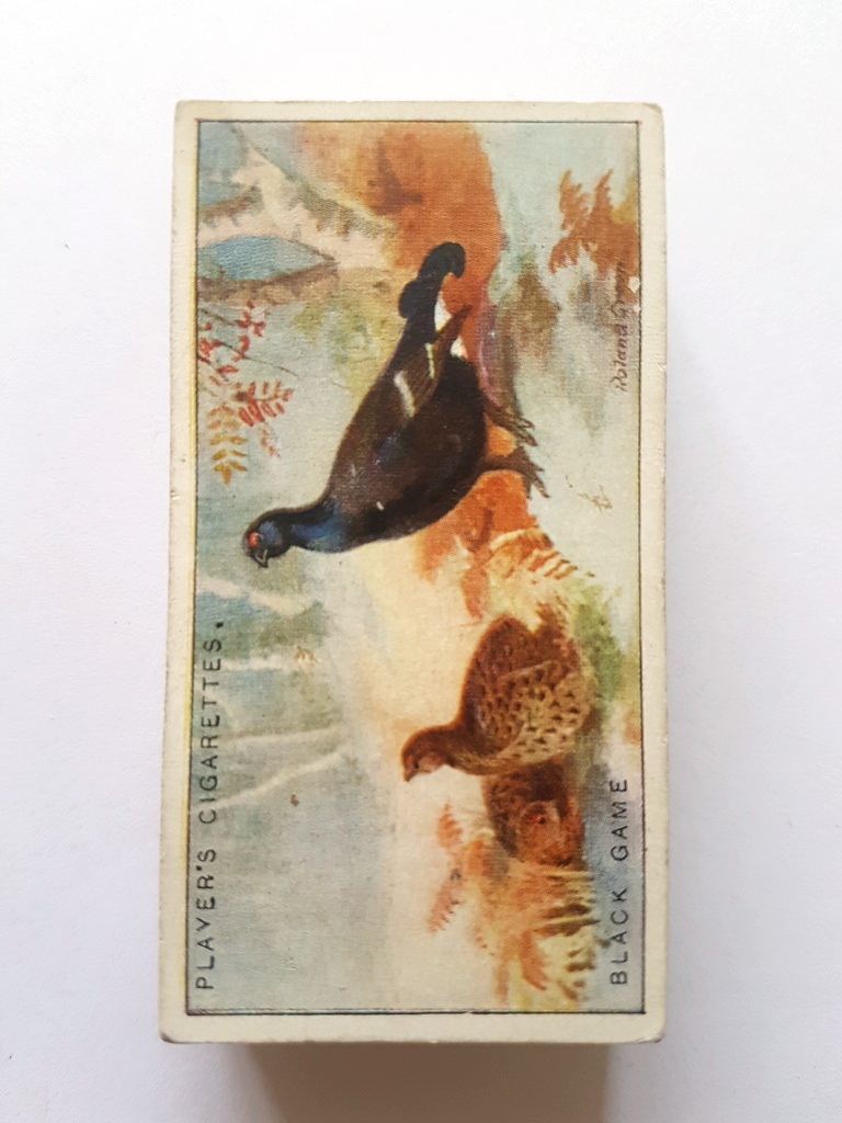 Photo of the front of these Game Birds and Wild Fowl cigarette cards